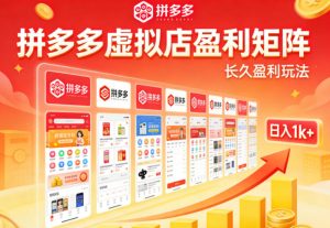实测可落地！拼多多虚拟店长久盈利玩法，矩阵放大收益，日入1k+不难【揭秘】-第一资源库
