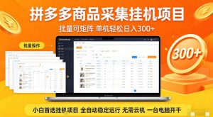 拼多多商品信息全自动采集项目，批量可矩阵，单机轻松日入300+，无需云机一台电脑开干【揭秘】-第一资源库