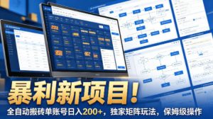 暴利新项目！全自动搬砖单账号日入200+，独家矩阵玩法，保姆级操作【揭秘】-第一资源库