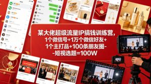 某大佬超级流量IP搞钱训练营，1个微信号+1万个微信好友+1个主打品+100条朋友圈-短视选题=100W-第一资源库