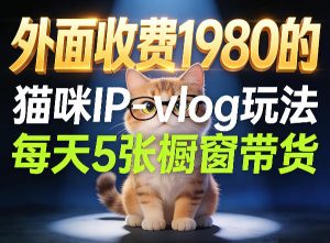 宠物赛道猫咪IP-vlog玩法,26条视频涨粉29W,每天5张橱窗带货拆解-第一资源库