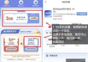 手机流量领取推广_每月一轮,刚需类的长期项目-第一资源库