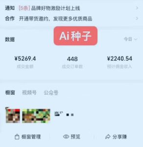 视频号AI种子带货，0粉0保证金就可做，人人能做，实操日入1k+-第一资源库