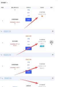 【超强副业】淘宝超高价女装项目：1单賺1k+，可工作室放大（共52节）-第一资源库