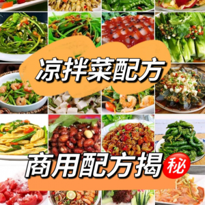 摆地摊街边特色自选拌凉菜小菜制作小吃技术配方教程培训视频教学-第一资源库