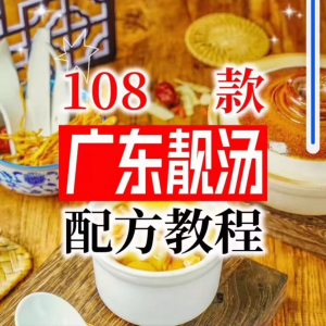 【拍下即送】108种广东靓汤视频教程100+广府靓汤商用技术实体店-第一资源库