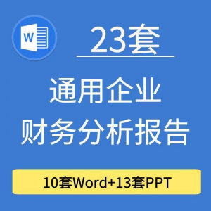 23套通用企业公司年度财务分析报告word电子文档模板PPT演示-第一资源库