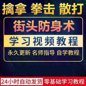 街头防身术擒拿拳击散打视频教程全套入门自学零基础学习教程视频-第一资源库