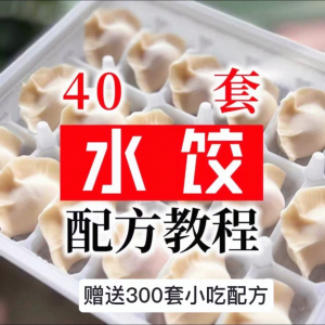 【0.01秒发】40套水饺技术配方 特制技术视频教程-第一资源库