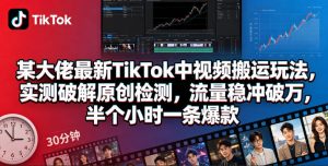 某大佬最新TikTok中视频搬运玩法,实测破解原创检测,流量稳冲破万,半个小时一条爆款-第一资源库