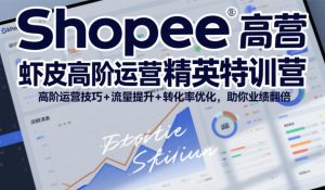 Shopee虾皮高阶运营精英特训营,高阶运营技巧+流量提升+转化率优化,助你业绩翻倍(更新26年5月)-第一资源库
