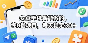 安卓手机就能做的,纯0撸项目,每天稳定30+-第一资源库
