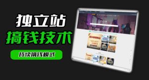 干货来袭！麦子甜带你吃透独立站｜从搭建到引流一站式教学《独立站》第一期-第一资源库