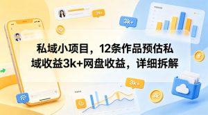 私域小项目，12条作品预估私域收益3k+网盘收益，详细拆解-第一资源库